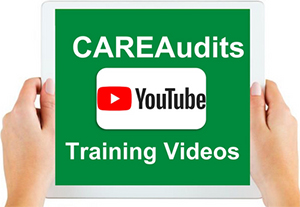 care audits