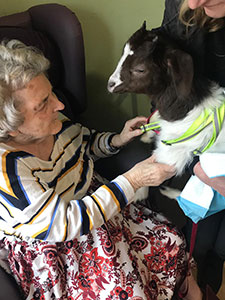 Farm animals bring smiles to elderly residents’ faces