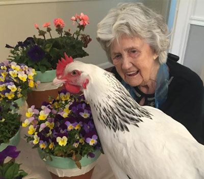 chicken whisperer Irene