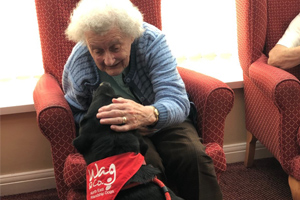 Ralph the dog in care home