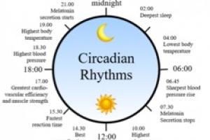 Circadian Rhythms for Dementia & Elderly Care