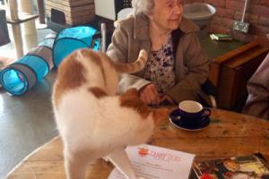 Care home resident at Cats Cafe