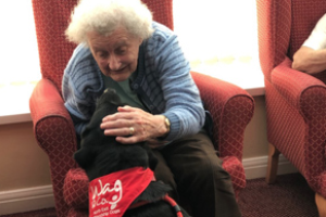 Ralph the dog in care home