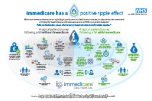 Immedicare infographic