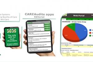 care audits